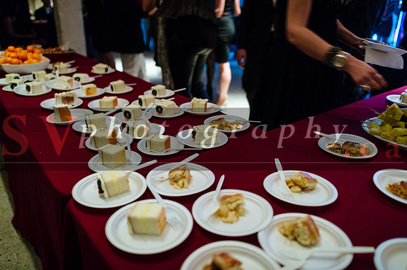 iFreeStyle's 8th Annual Christmas Gala - Social Dancing