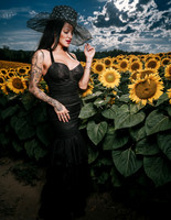 Sunflower Farm