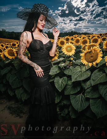 Sunflower Farm