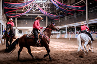 CNE’s interactive horse program CNE HorseCapades