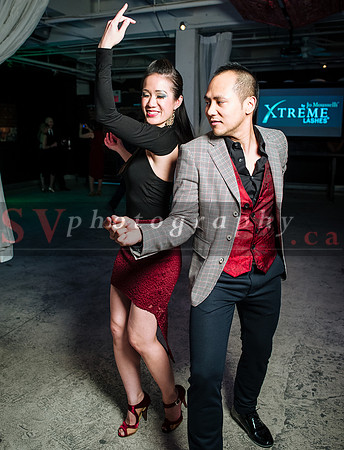 iFreeStyle's 8th Annual Christmas Gala - Social Dancing