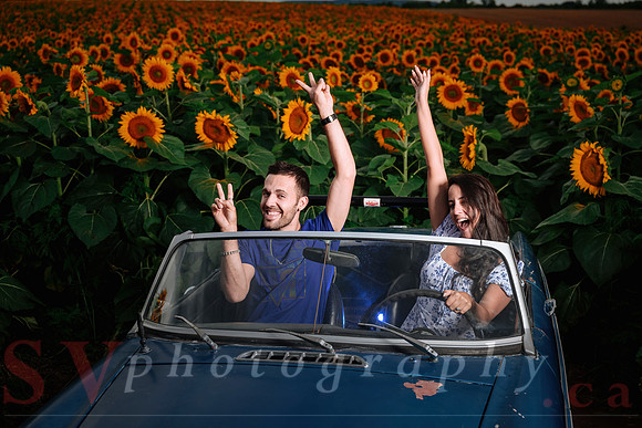 In the field of dreams