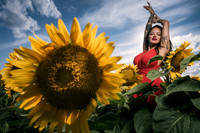 Sunflower Farm