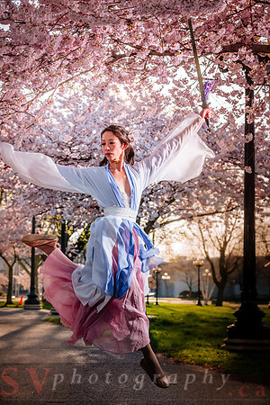 Cherry Blossoms