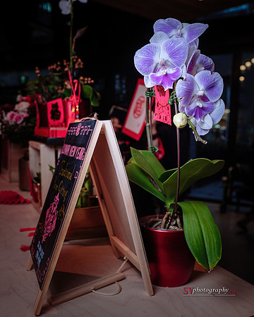 Lunar New Year Celebrations