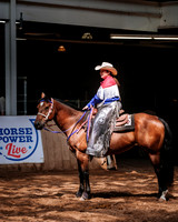 CNE’s interactive horse program CNE HorseCapades