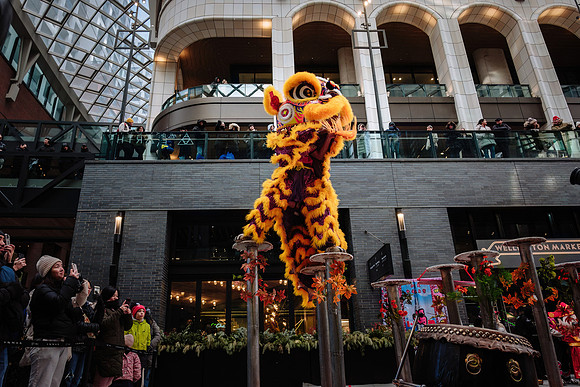 Lunar New Year Celebrations