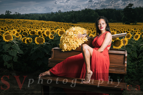 Sunflower Farm
