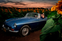 In the field of dreams