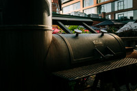 Toronto Street Photos