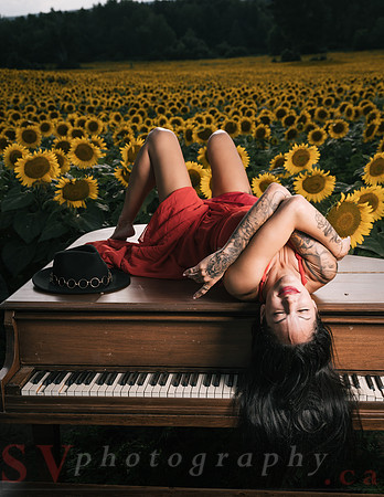 Sunflower Farm