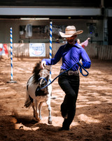 CNE’s interactive horse program CNE HorseCapades