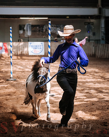 CNE’s interactive horse program CNE HorseCapades
