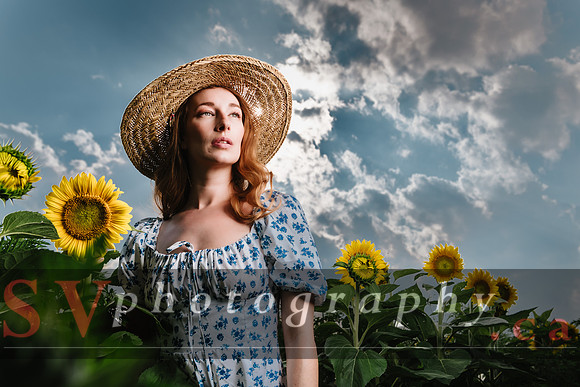 Sunflowers