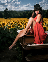 Sunflower Farm