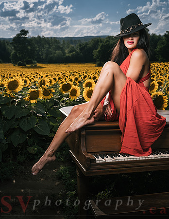 Sunflower Farm