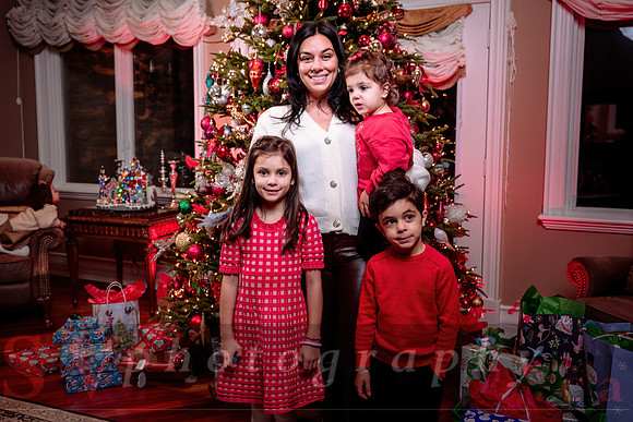 Nicolaidis Xmas Party