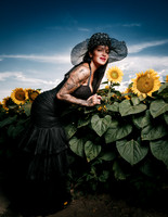 Sunflower Farm