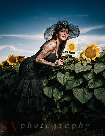 Sunflower Farm