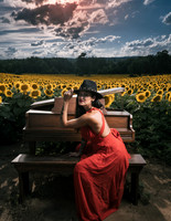 Sunflower Farm