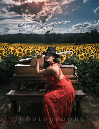 Sunflower Farm