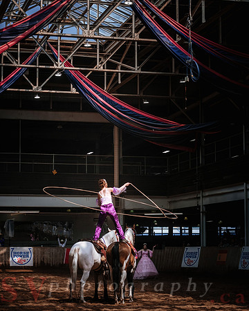 CNE’s interactive horse program CNE HorseCapades