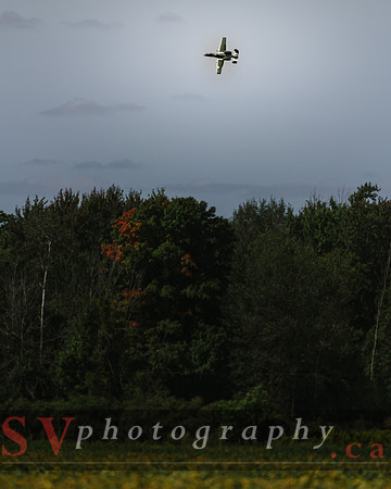 Airshow London 2020