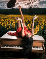 Sunflower Farm