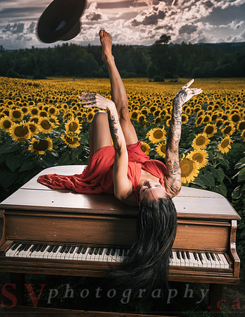 Sunflower Farm