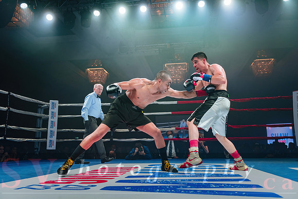 Shaw Boxing 2022