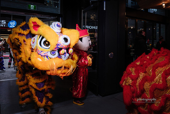 Lunar New Year Celebrations