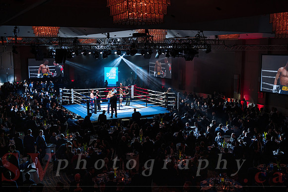 Shaw Boxing 2022