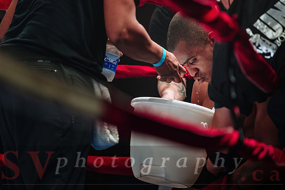 Shaw Boxing 2022