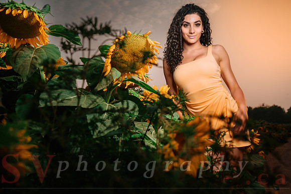 At the Farm