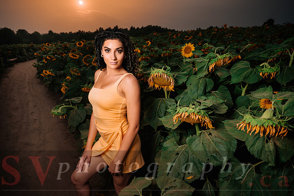 At the Farm