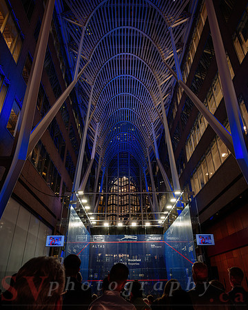 Arjun Gupta Foundation Gala