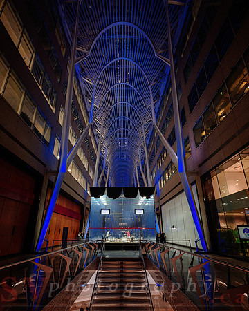 Arjun Gupta Foundation Gala