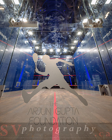 Arjun Gupta Foundation Gala