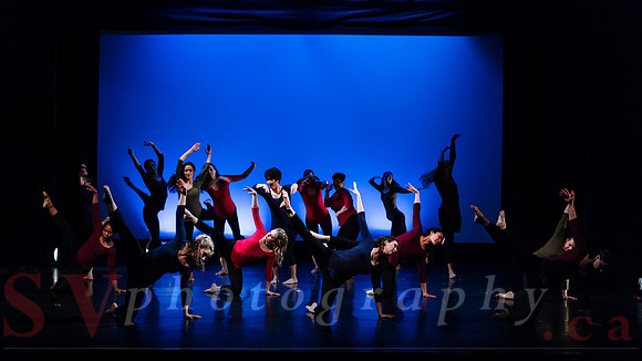 PushPULL Dance Toronto’s 13th annual production