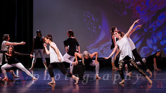 PushPULL Dance Toronto’s 13th annual production