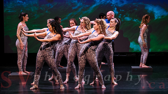PushPULL Dance Toronto’s 13th annual production