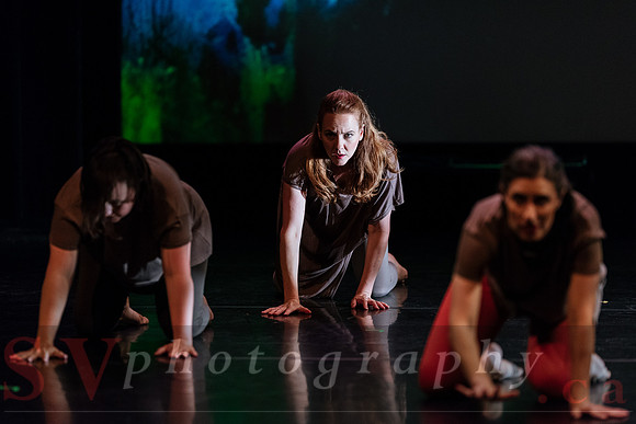 PushPULL Dance Toronto’s 13th annual production