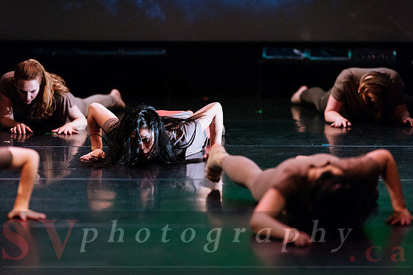 PushPULL Dance Toronto’s 13th annual production