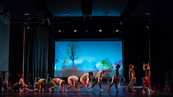 PushPULL Dance Toronto’s 13th annual production