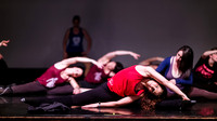 Push Pull Dance - 15th Annual Show - Pivotal Moments
