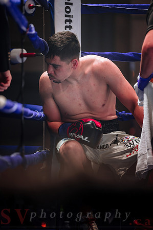 Shaw Boxing 2022