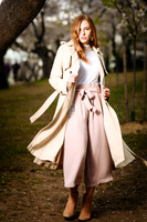 Cherry Blossoms