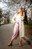 Cherry Blossoms