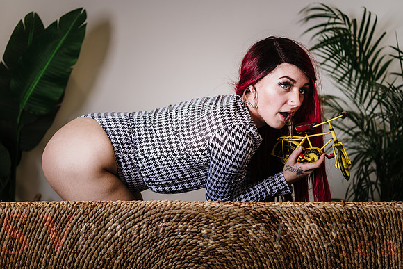 Christmas Shoot