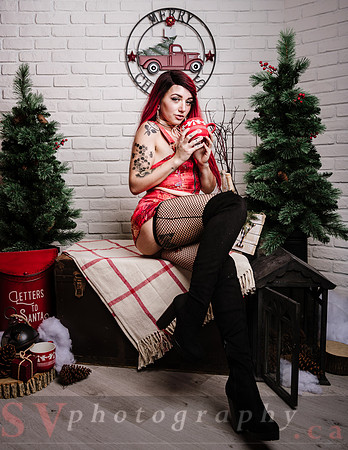 Christmas Shoot